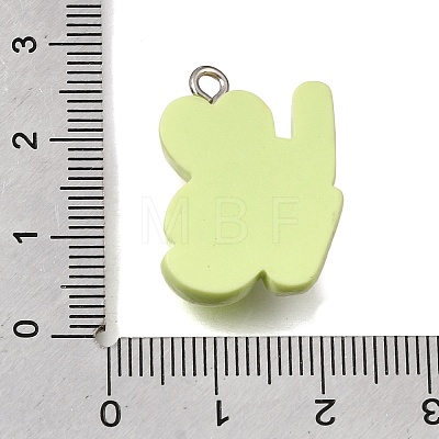 Opaque Resin Pendants RE-CBAA178-06P-1