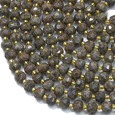 Natural Labradorite Beads Strands G-K389-E39-01-1