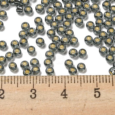 TOHO Round Seed Beads SEED-TR08-0029B-1