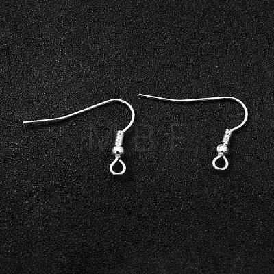 304 Stainless Steel Earring Hooks STAS-L258-001B-S-1