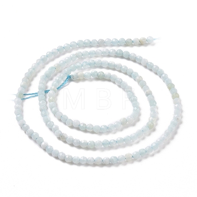 Natural Amazonite Bead Strands G-A129-2mm-20-1