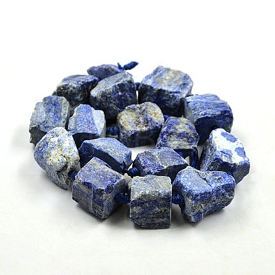 Nuggets Natural Lapis Lazuli Beads Strands G-N0135-06-1