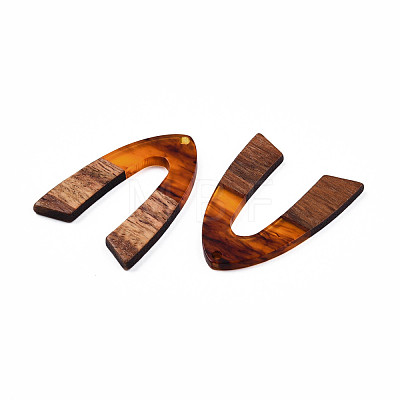 Transparent Resin & Walnut Wood Pendants RESI-N025-029-C02-1