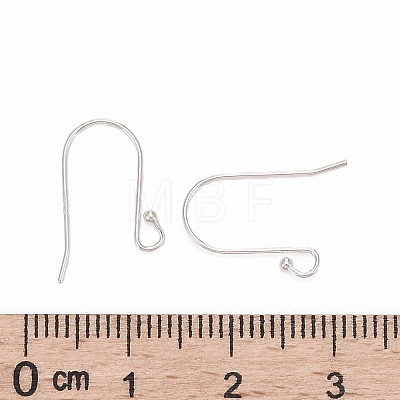 925 Sterling Silver Earring Hooks STER-G011-08-1