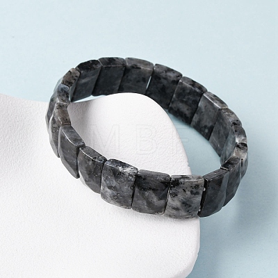 Rectangle Natural Labradorite Beads Stretch Bracelets for Women Men BJEW-Z149-01F-1