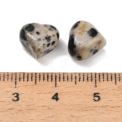 Natural Dalmatian Jasper Beads GG-CBA4A3B-C34-02-1