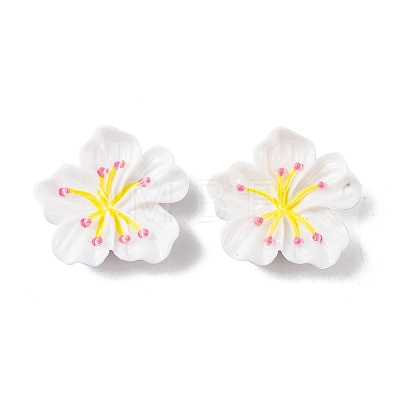 Resin Cabochons OACR-U002-03C-1