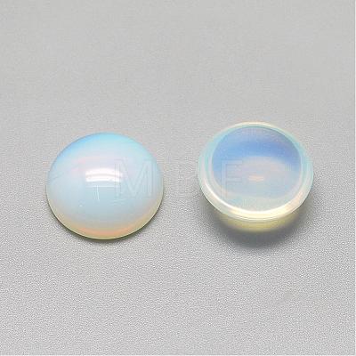 Opalite Cabochons G-R416-14mm-49-1