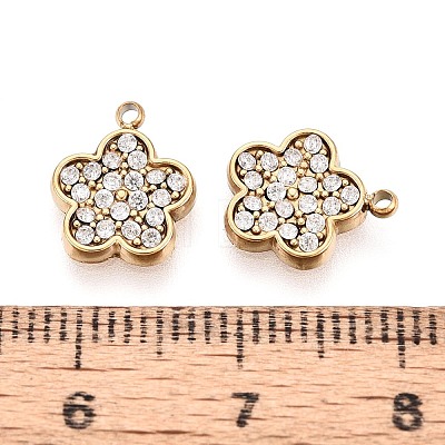 304 Stainless Steel Micro Pave Cubic Zirconia Charms STAS-N115-50G-1