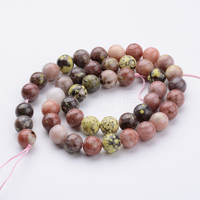 Natural Plum Blossom Jasper Beads Strands G-K152-07-8mm-1