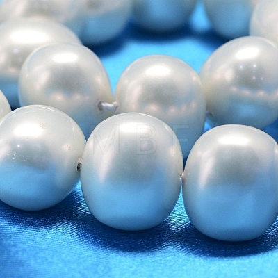 Oval Shell Pearl Bead Strands BSHE-L013-S-A013A-1