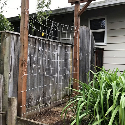 Polyester Plant Trellis Netting for Garden AJEW-WH0609-869-1