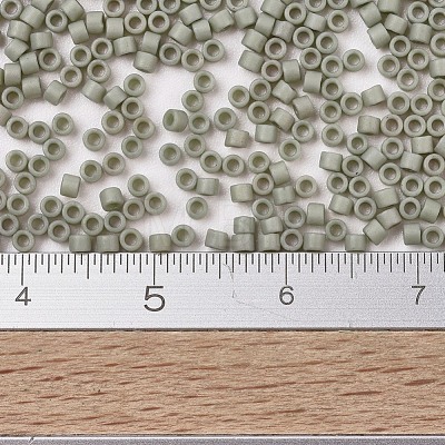 MIYUKI Delica Beads SEED-J020-DB2282-1