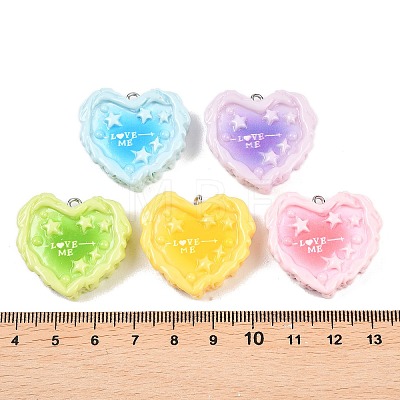 Opaque Resin Imitation Food Pendants RESI-P049-05P-M-1