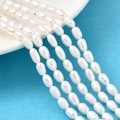 Natural Cultured Freshwater Pearl Beads Strands PEAR-I007-01P-05-1