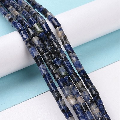 Natural Blue Spot Jasper Beads Strands G-G990-C12-1
