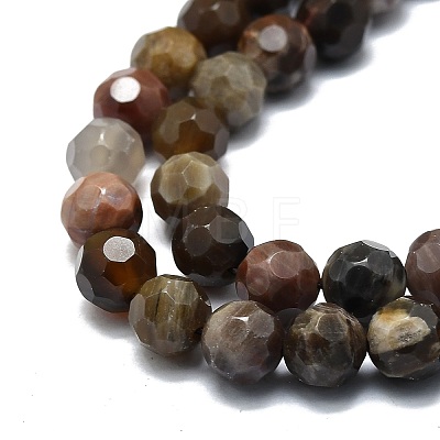 Natural Petrified Wood Beads Strands G-E576-31-1