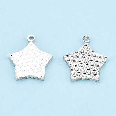 925 Sterling Silver Charms STER-T006-17S-1
