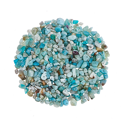 Natural Amazonite Chip Beads G-CJ0001-21-1