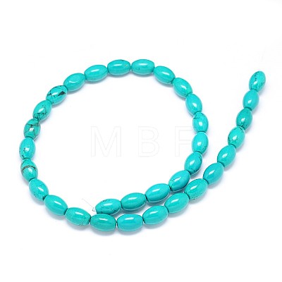 Natural Magnesite Oval Bead Strands TURQ-E022-13-12x8mm-1
