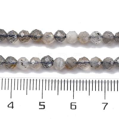 Natural Labradorite Beads Strands G-G188-B11-02-1