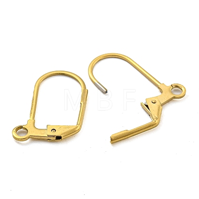 Ion Plating(IP) 304 Stainless Steel Leverback Earring Findings X-STAS-P360-02B-G-1