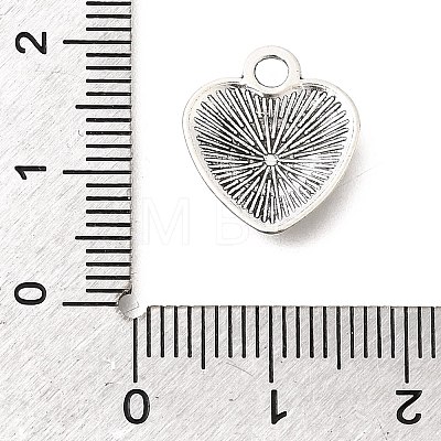 Tibetan Style Alloy Pendants FIND-D042-14AS-1