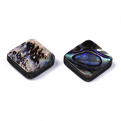 Natural Abalone Shell/Paua Shell Beads SSHEL-T014-13A-1