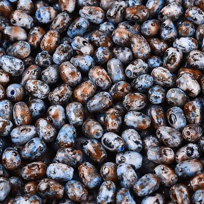 Picasso Glass Seed Beads SEED-N012-10N-1