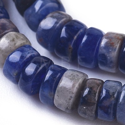 Natural Sodalite Beads Strands G-I265-04-1