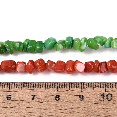 Natural Freshwater Shell Beads Strands SHEL-N037-04A-1
