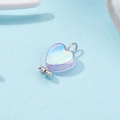 Eco-Friendly Transparent Acrylic Charms PALLOY-JF00749-01-1