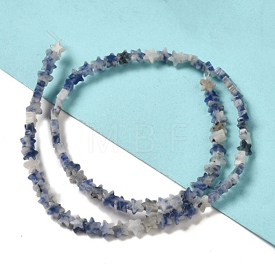Natural Blue Spot Jasper Beads Strands G-G085-B41-02-1