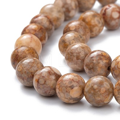 Natural Maifanite/Maifan Stone Beads Strands X-G-P451-01A-C-1