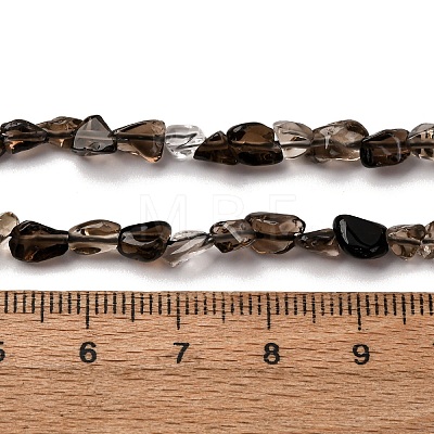 Natural Smoky Quartz Beads Strands G-I389-A31-01B-1