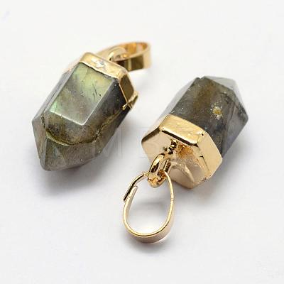 Natural Labradorite Pointed Charms G-G720-12-G06-1