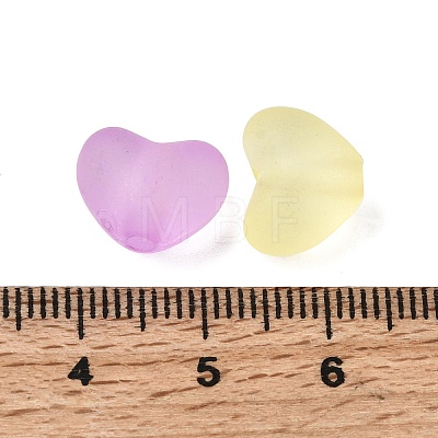 Frosted Transparent Acrylic Beads FACR-C001-01G-1