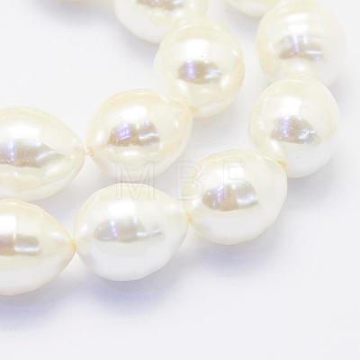 Shell Pearl Beads Strands BSHE-P024-12A-1