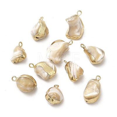 Natural Trochus Shell Pendants BSHE-E025-04LG-1