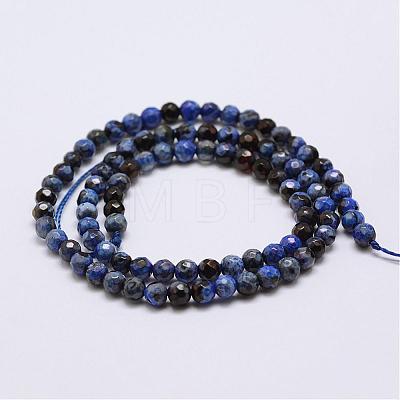 Faceted Natural Fire Crackle Agate Beads Strands G-F447-4mm-A19-1