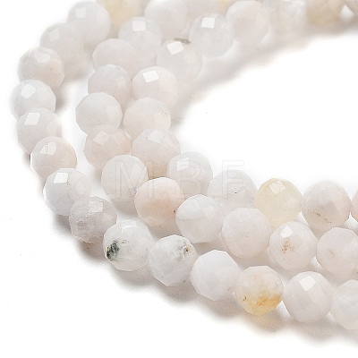 Natural Rainbow Moonstone Beads Strands G-G161-A01-03-1