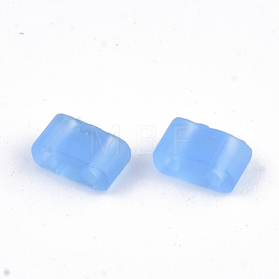 2-Hole Glass Seed Beads SEED-T003-02B-03-1