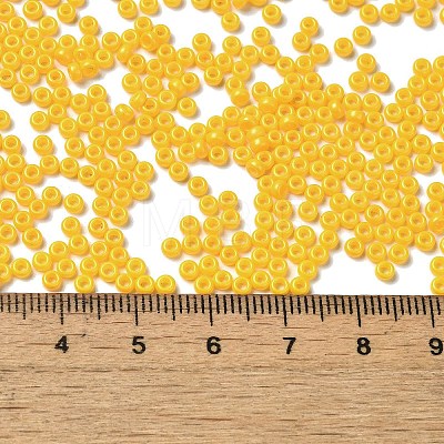 Baking Paint Glass Seed Beads SEED-P006-03A-04-1