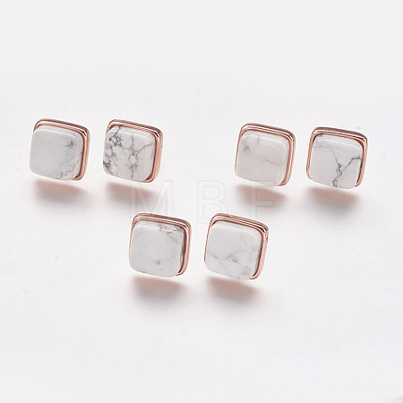 Natural Howlite Stud Earrings EJEW-F139-A07-1