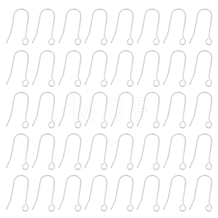 100Pcs 316 Stainless Steel Earring Hooks STAS-UN0041-94-1
