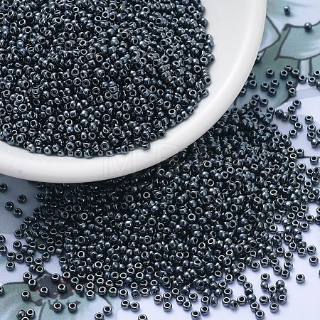 MIYUKI Round Rocailles Beads X-SEED-G007-RR0451-1