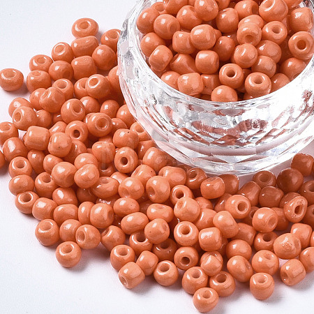 6/0 Glass Seed Beads SEED-S058-A-F422-1