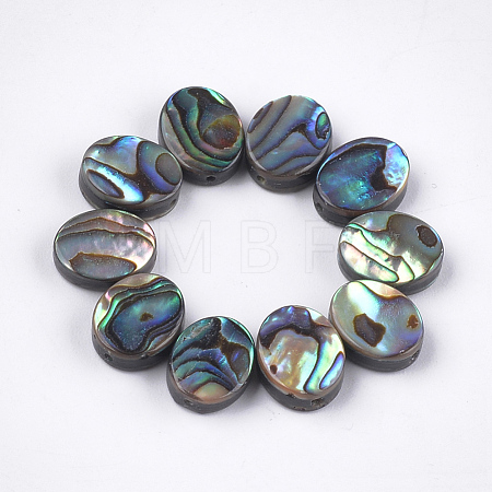 Abalone Shell/Paua Shell Beads SSHEL-T008-04-1