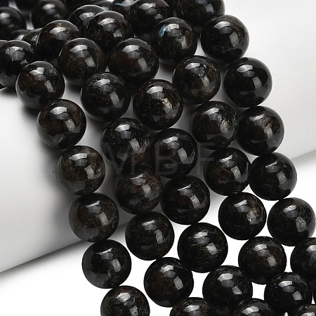 Natural Glaucophane Beads Strands G-L642-B03-12mm-1