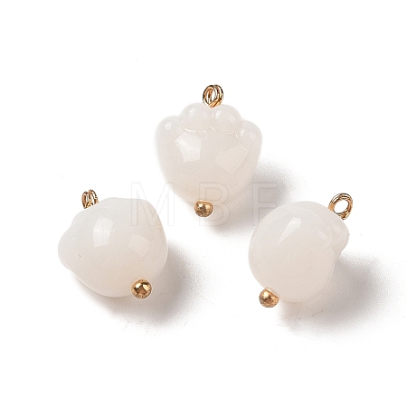 Acrylic Pendants MACR-C033-05B-1